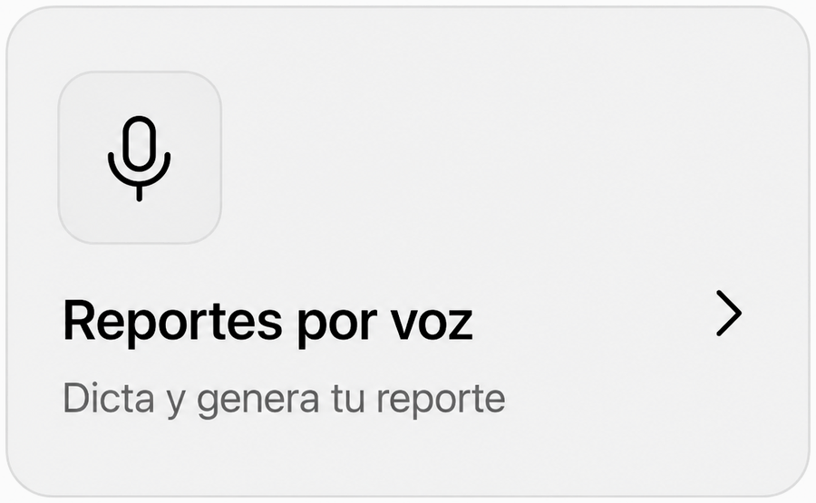 Reportes por voz